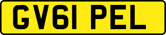GV61PEL