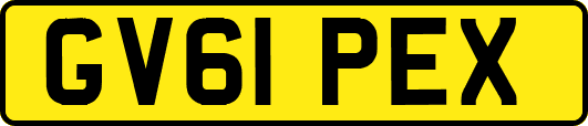 GV61PEX