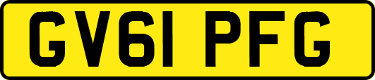GV61PFG