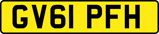GV61PFH