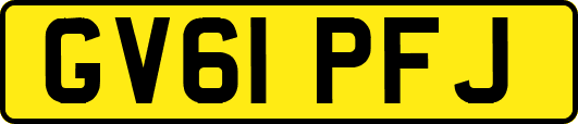 GV61PFJ