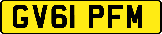 GV61PFM