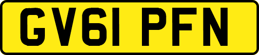GV61PFN