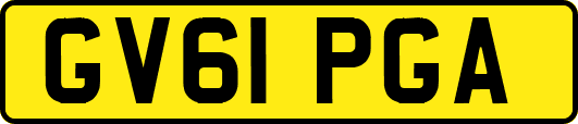 GV61PGA