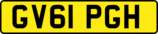 GV61PGH