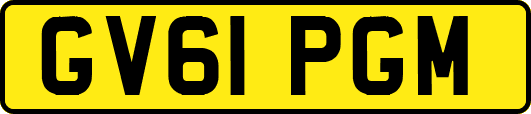 GV61PGM