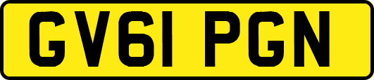 GV61PGN