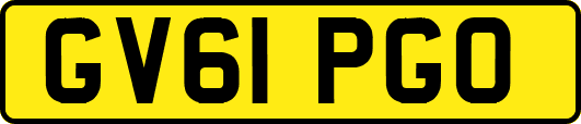 GV61PGO