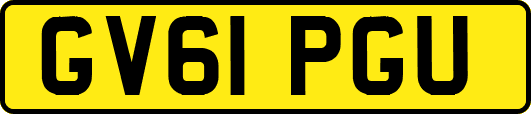 GV61PGU