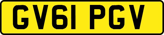 GV61PGV