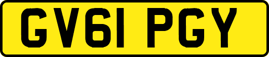 GV61PGY