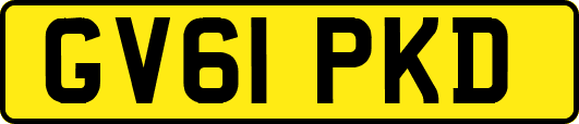 GV61PKD