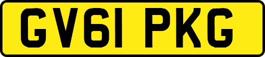 GV61PKG