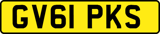 GV61PKS