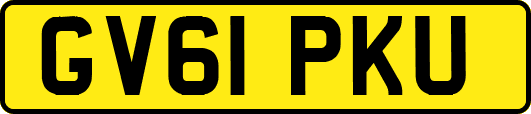 GV61PKU
