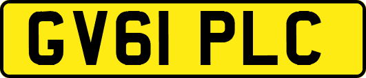 GV61PLC