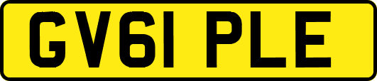 GV61PLE