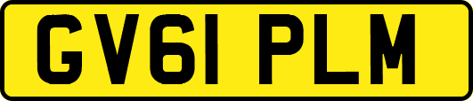GV61PLM