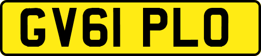 GV61PLO