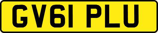 GV61PLU