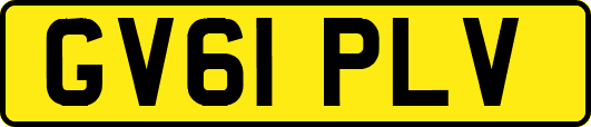 GV61PLV