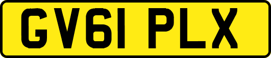 GV61PLX