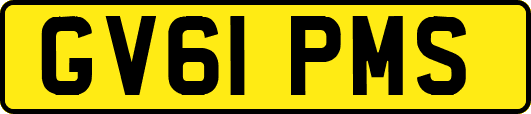 GV61PMS