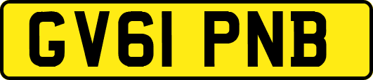 GV61PNB