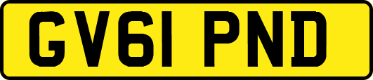 GV61PND