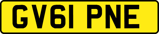GV61PNE