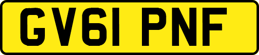 GV61PNF