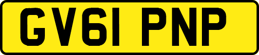 GV61PNP
