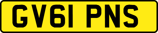 GV61PNS