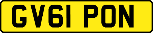 GV61PON