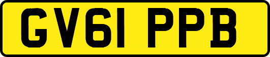 GV61PPB