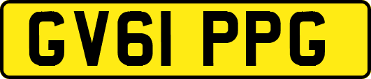 GV61PPG