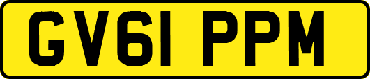 GV61PPM