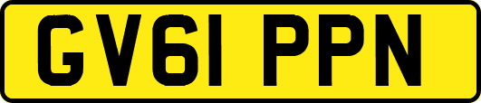 GV61PPN