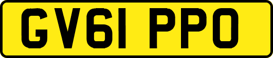 GV61PPO