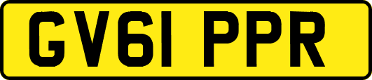 GV61PPR