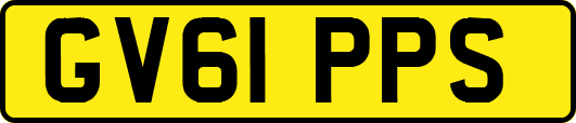 GV61PPS