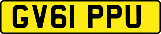 GV61PPU