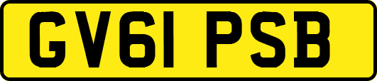GV61PSB