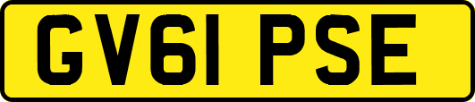 GV61PSE