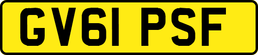 GV61PSF