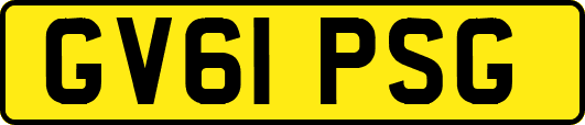 GV61PSG