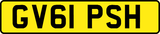 GV61PSH