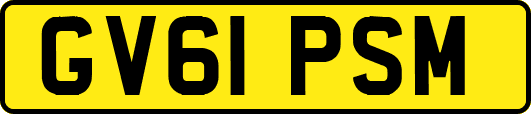 GV61PSM