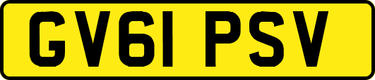 GV61PSV