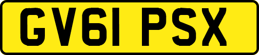 GV61PSX
